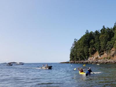 LYC Spring Bay races