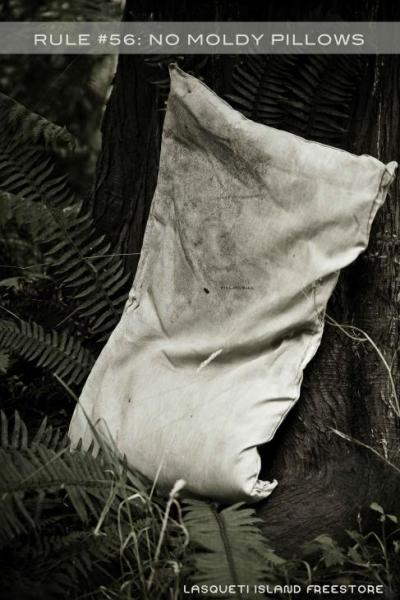 Is this your pillow?