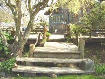 Bonnie's Farm Bonnie's Farm