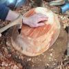 Carving a alder bowl with an adze