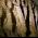cave_formation.jpg